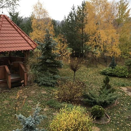 Гостевой дом Ignacowka Кобыла-Гура Экстерьер фото